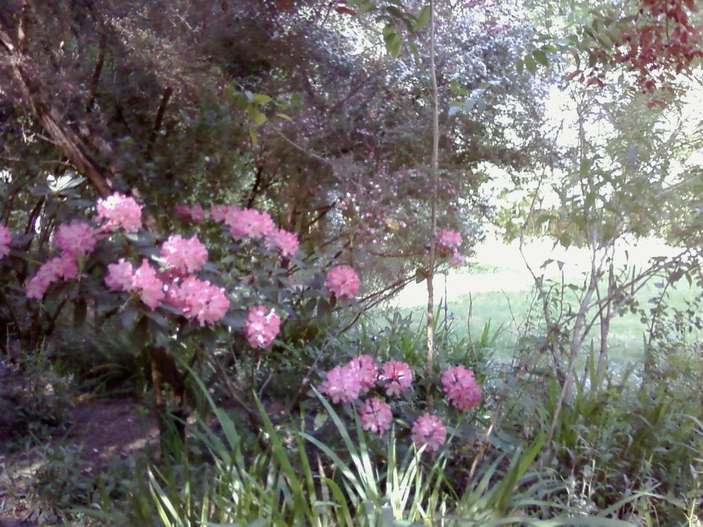 Fairview Manor Bed And Breakfast Ben Lomond Εξωτερικό φωτογραφία